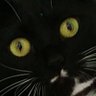 みによんく's profile picture