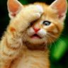 笑轩 profil fotoğrafı