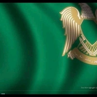 AlhashmiAlamri's profile picture