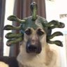 Profilbild von Sebastian
