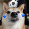 xzxz➰ ⚽️ profil fotoğrafı