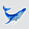 نهنگ آبی profil fotoğrafı