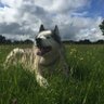 Deborah. profil fotoğrafı