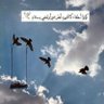 Фото профиля عبدالرحمن