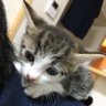 消防設備士 某社代表取締役社長🇯🇵's profile picture