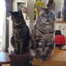 ひかるん profil fotoğrafı
