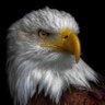 Abel Barahona's profile picture