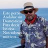 LIC. ROBERTO VELARDE 的头像