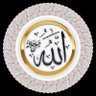 Profilbild von Tariq Malik