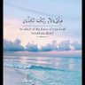 Profilbild von Islamuddin Mayar اسلام الدین مایار