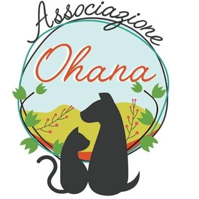 Associazione Ohana: i pelosi di Chiara's profile picture