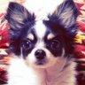 Profilbild von ゆっけ