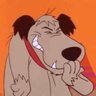 Profilbild von Robert