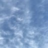 ｾﾆｮﾘｰﾀ 的头像