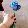 Soso💕 profil fotoğrafı