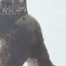 loN profil fotoğrafı