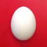 純SABOTEN's profile picture
