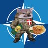 NAFO Vienna 的头像