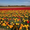 Фото профиля Yilmazd07