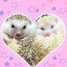 🌙紫義&モモ雪ファミリーとフクモモとの生活🦔×4🍑✖️7's profile picture