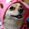 GOTO82🍄's profile picture