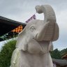 ピースケ's profile picture