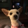 peanuts's profile picture