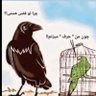 bv_b2022's profile picture