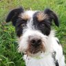 Profilbild von Spätzin