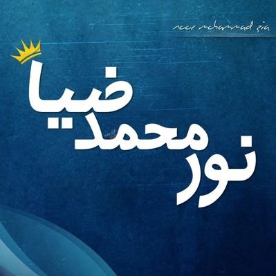 Noor Mohammad Zia🇵🇸's profile picture
