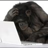 Фото профиля Interstellar Monkey