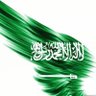 عبدالله العـالـمي💛💙's profile picture