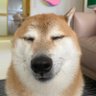 𝖌𝖚𝖘 profil fotoğrafı