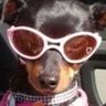 Profilbild von luma