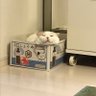 さすらいのオカッパラー 的头像