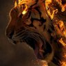 Sajjad Al hakeem's profile picture