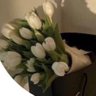 أمـل 🇸🇦's profile picture