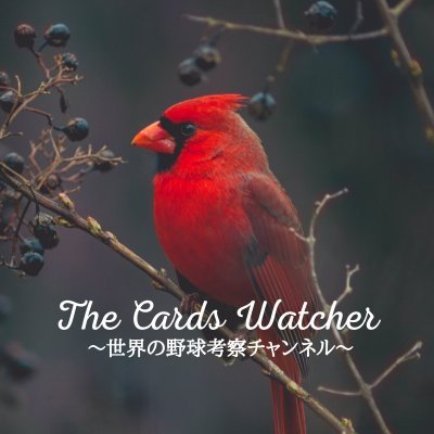 The Cards Watcher_世界の野球考察チャンネル's profile picture