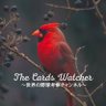 Profilbild von The Cards Watcher_世界の野球考察チャンネル