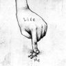 Ike 的头像