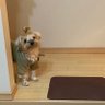 なおちん 的头像