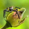 Фото профиля Yogesh