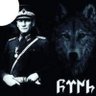 Ahmet Anzerlioglu's profile picture