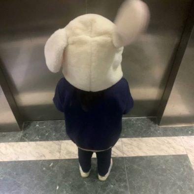 屁屁兔🐰's profile picture