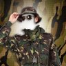 معتصم بالله's profile picture