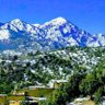 Abid.Afghan 的头像