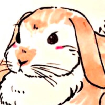 punktion's profile picture