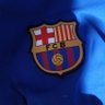 Siempre Barça 的头像