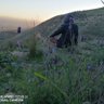 Abdelkahar profil fotoğrafı