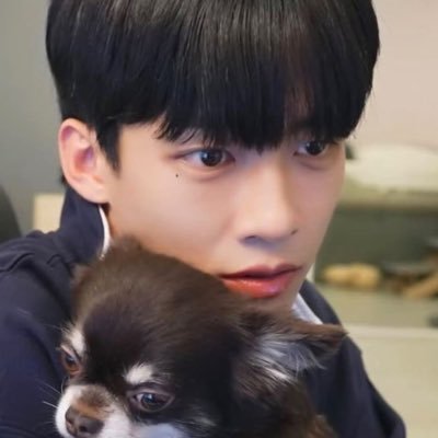 gyu_story's profile picture